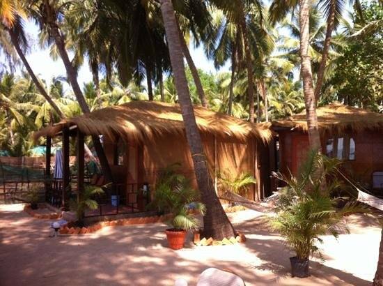 Ricky's Beach Huts, Goa 5